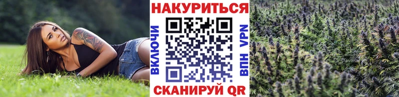 Где купить наркотики Нытва Гашиш Конопля Кокаин Alpha PVP Меф
