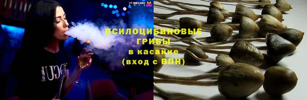 амф Бугульма