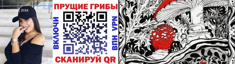 Галлюциногенные грибы Psilocybine cubensis  Нытва 